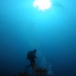 平日の田子ドリフトツアー！