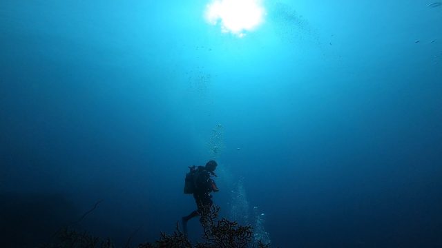 平日の田子ドリフトツアー！