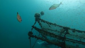 今週末も秋晴れ(*^▽^*)　2022-10-29