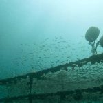 まだまだ透明度良好っ！