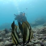 今週末は狙い目ですよ~(≧◇≦) 2022-11-30