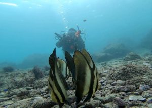 今週末は狙い目ですよ~(≧◇≦) 2022-11-30