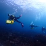 楽しい水中スクーターSP!(^^)! 2022-11-06