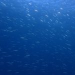 陸も海も快適です!!2023-3-11