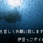 2022年、ご愛顧ありがとうございました!2022-12-30
