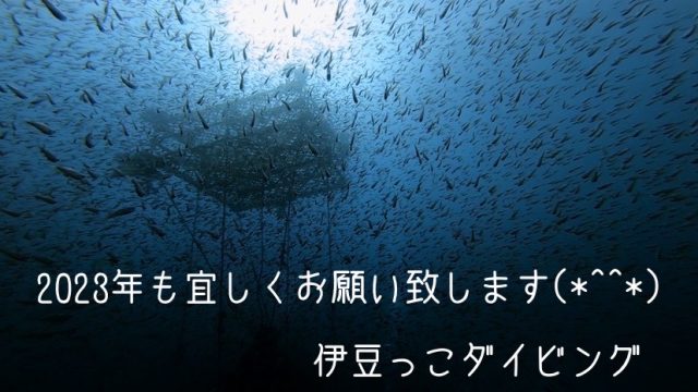 ２０２２年、ご愛顧ありがとうございました！2022-12-30