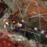 川奈ビーチ、安定してますよー!(^^)!　2022-12-4