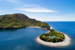 11月2日（土）ダイバーの聖地！大瀬崎ツアー参加者募集中！