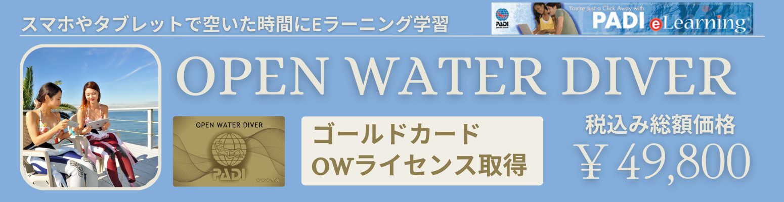 伊豆でPADIダイビングライセンス取得コース【伊豆っこダイビング】