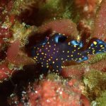 フォト派にはたまりません!!2023-1-15