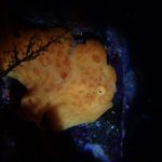 新年明けましておめでとうございます!! 2023-1-7