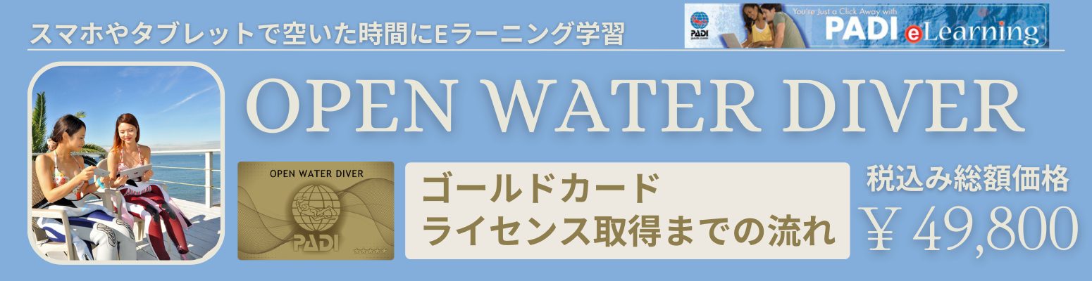 ダイビングライセンス取得までの流れ｜伊豆っこダイビング