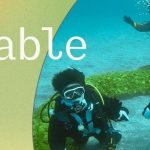 伊豆っこダイビングのツアー開催＆イベント情報