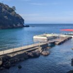 2026年1月17日（土）レアポイント！土肥１ビーチ１ボートツアー！参加者募集中！