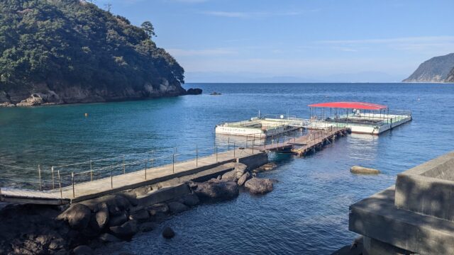 2026年1月17日(土)レアポイント!土肥1ビーチ1ボートツアー!参加者募集中!