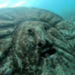 海の中に真実の口!?獅子浜に行ってきました 2024-3-6