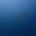 生物もりもり~!(^^)! 2023-4-28