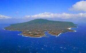 2025年2月22日、23日(土日)イワシ大群狙い!大島ツアー。