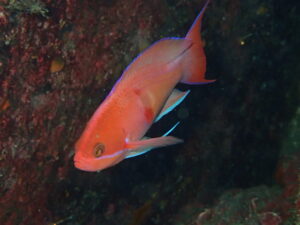 水温上昇中!!2023-6-8