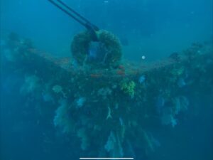 壮大なスケール！！熱海沈船に行ってきました!(^^)!2024-3-1