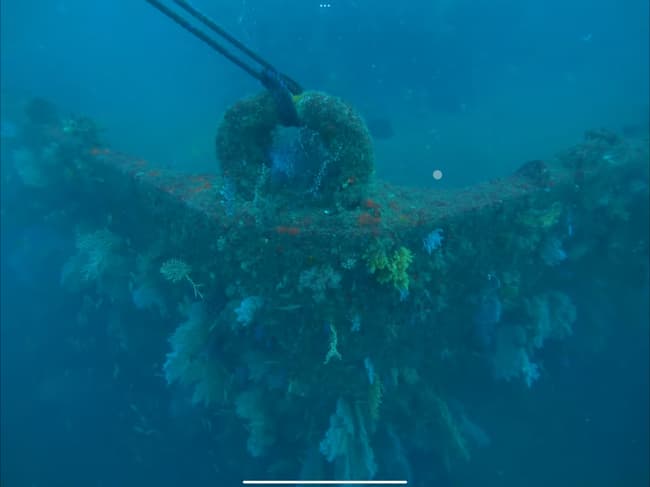 ４月７日（日）大人気！熱海沈船、洞窟の２ボートツアー参加者募集中。