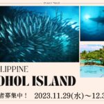 11月29日~12月3日ビッグツアー!フィリピン~ボホール島~