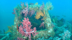 5/15オープンの限定ポイント「ウバコーラル」にブイ設置行ってきました!2024-5-12