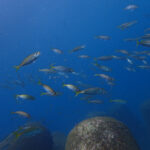 ベストシーズン到来中!!2023-9-26