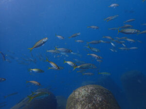 ベストシーズン到来中!!2023-9-26