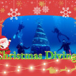 11/30(土)ちょっと早めにメリークリスマス♪伊豆海洋公園ツアー