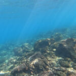 透明度絶好調！！2023-12-18