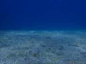 雨でも透明度良好な川奈ビーチです　2024-3-24