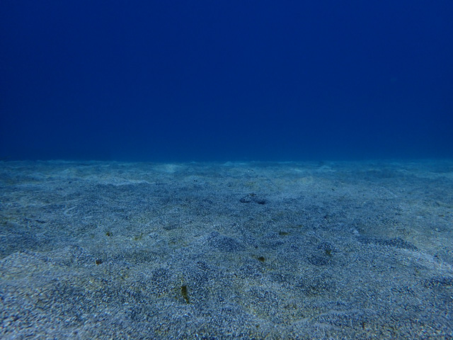 砂地に映える青い海