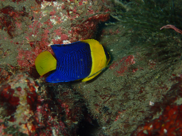 全然撮らせてくれない