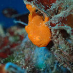 今日は春のような陽気でぽかぽかでした(^O^)。2024-1-18