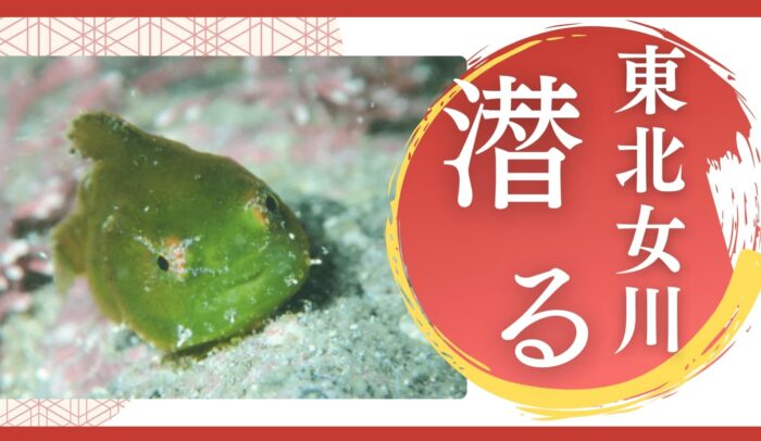 東北女川を潜る