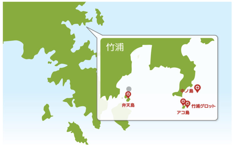 女川竹浦ダイビングポイント