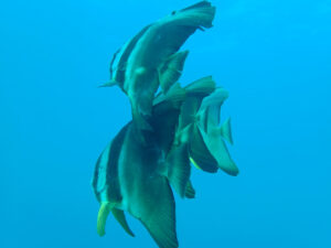 春本番のような暖かさ!2024-2-15