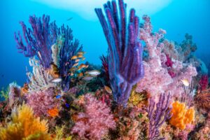 11月16日（日）北川ボートツアー！満員御礼m(_ _)m