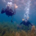 透明度UP☆連日ライセンス講習開催してます！　2024-4-22