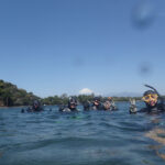 群れに話題沸騰中の生物に見どころ満載の大瀬崎でした 2024-4-1