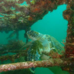 こんなところに！？2024-4-15