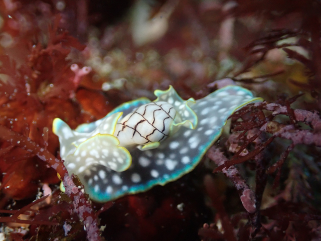 ウネリに負けない