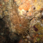 伊東ボートに行ってきました!!2024-5-15