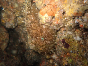 伊東ボートに行ってきました!!2024-5-15