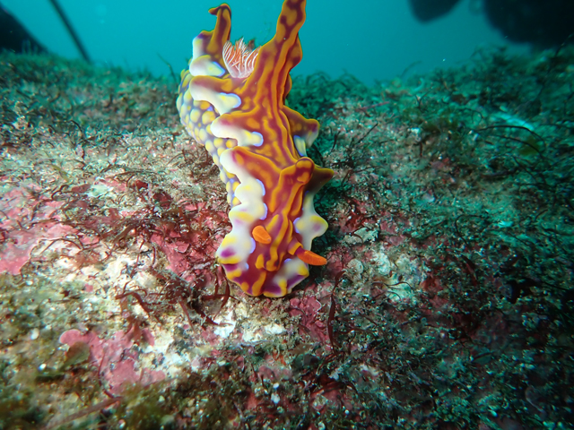 目に優しいサイズ感