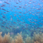 GW前半、たくさんのご来店ありがとうございました！　2024-5-1