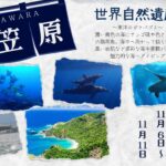 2026年11月19日~24日。世界自然遺産の海~小笠原~
