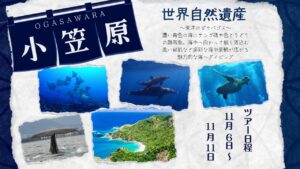 2026年11月19日~24日。世界自然遺産の海~小笠原~
