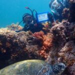 H様５０ダイブ記念☆2024-6-14